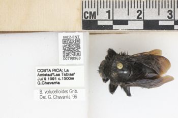 Media type: image;   Entomology 798963 Aspect: labels